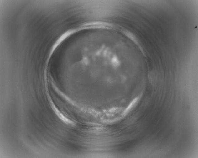 X0000081601482200701291348