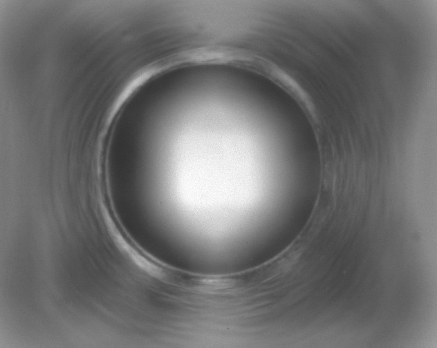 X0000081601483200701291348