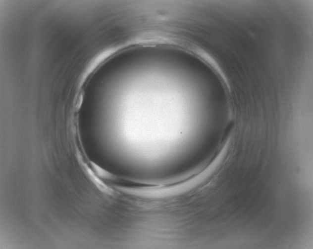 X0000081601485200701291348