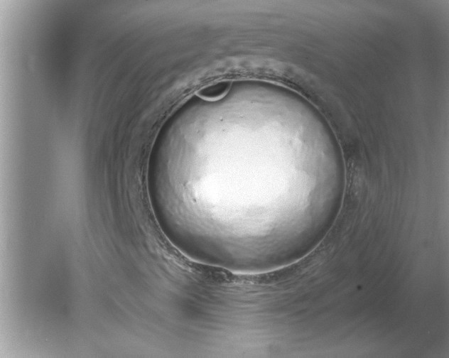 X0000081601489200701291347