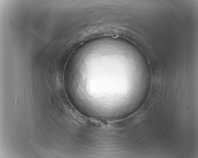 X0000081601490200701291347