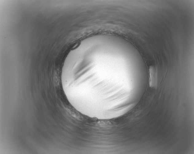 X0000081601491200701291347