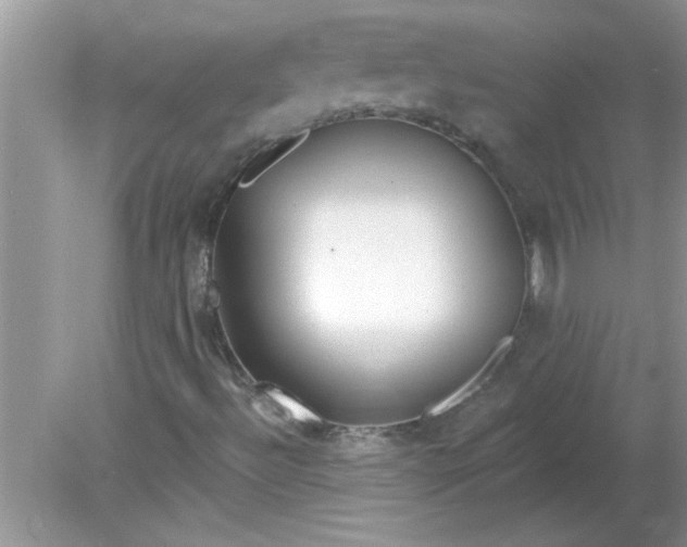 X0000081601492200701291347