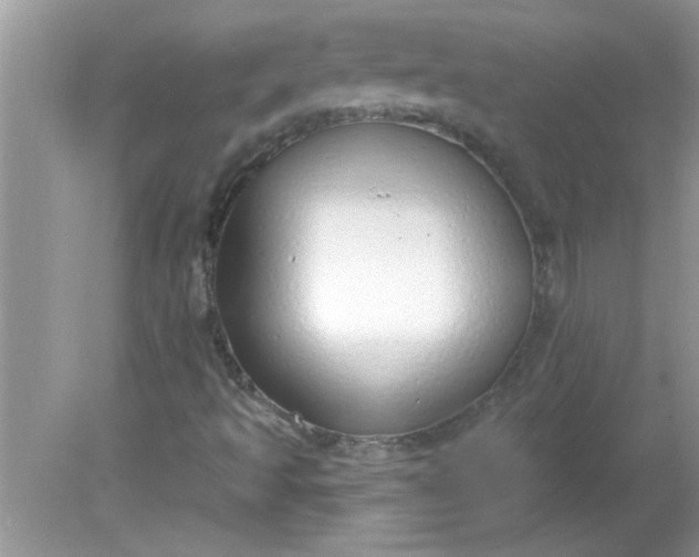 X0000081601493200701291347