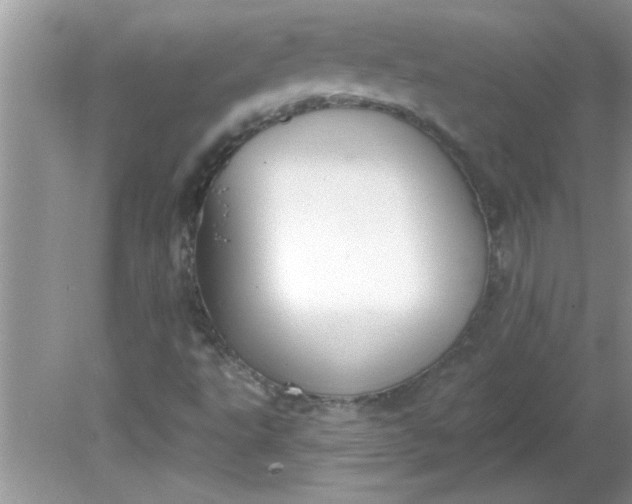 X0000081601495200701291347