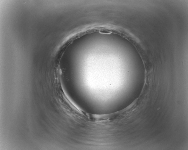 X0000081601496200701291347