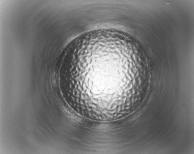 X0000081601497200701291348