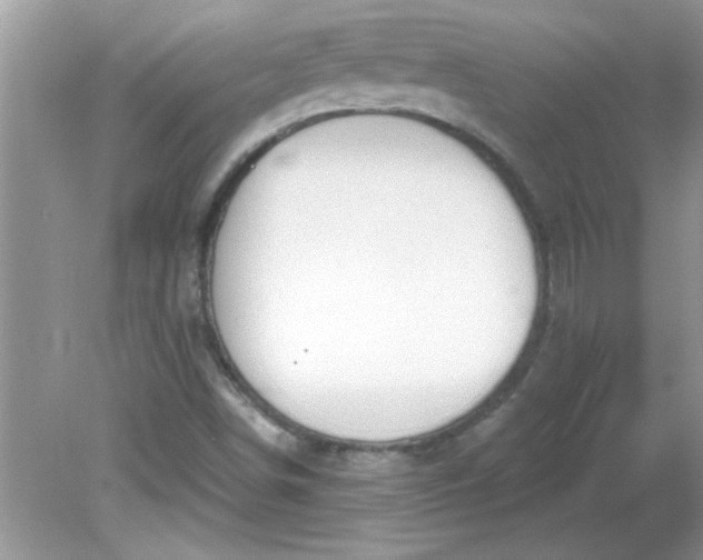 X0000081601498200701291348