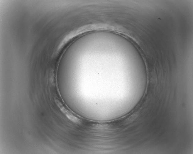 X0000081601499200701291348