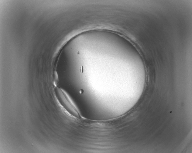 X0000081601500200701291348