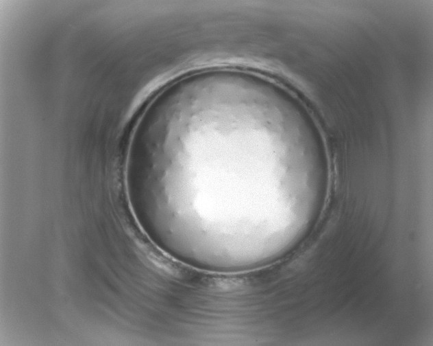 X0000081601501200701291348