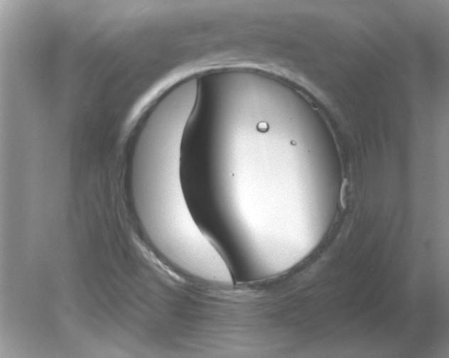 X0000081601502200701291348