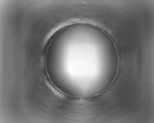 X0000081601503200701291348