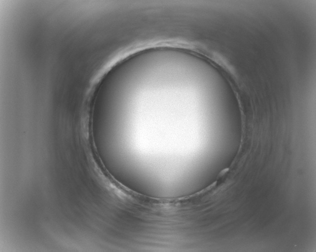 X0000081601504200701291348