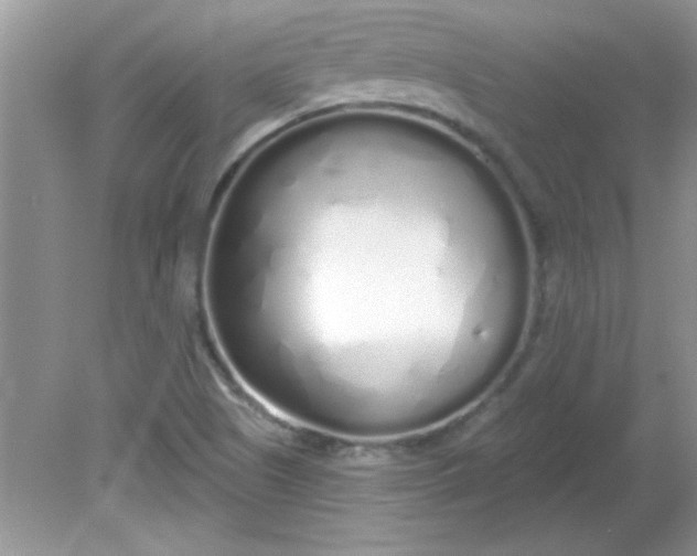 X0000081601505200701291348