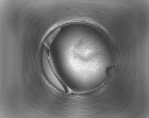 X0000081601506200701291348