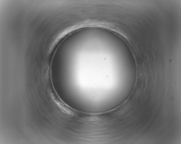 X0000081601507200701291348