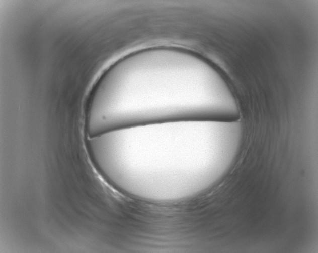 X0000081601508200701291348