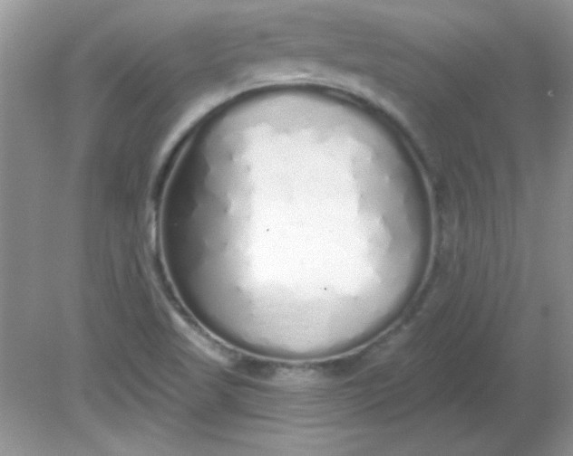 X0000081601509200701291348