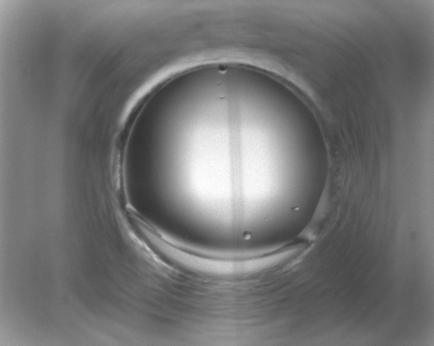 X0000081601510200701291348