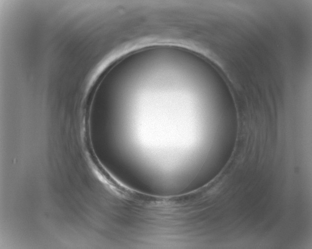 X0000081601511200701291348