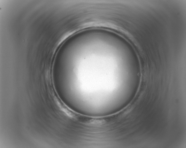 X0000081601513200701291348