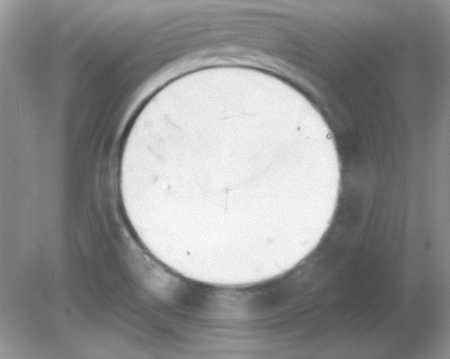 X0000081601514200701291348