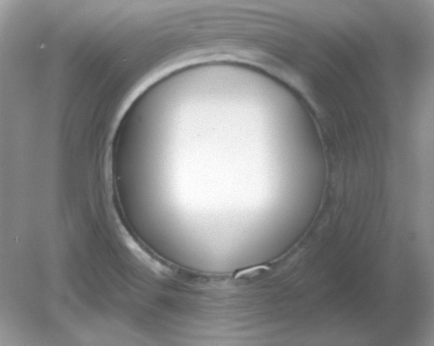 X0000081601516200701291348