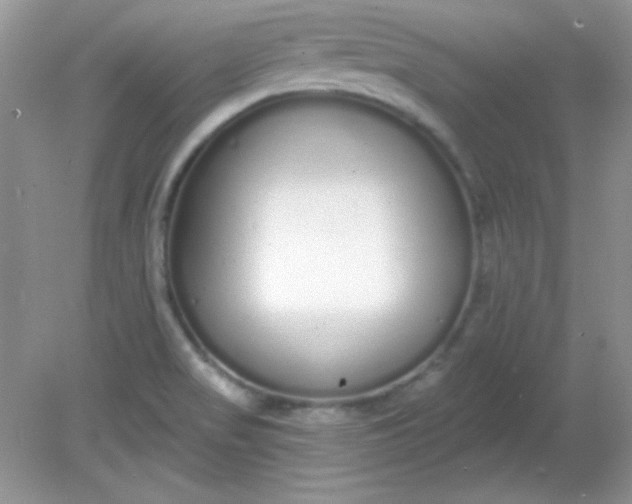 X0000081601517200701291348