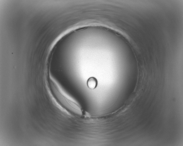 X0000081601518200701291348