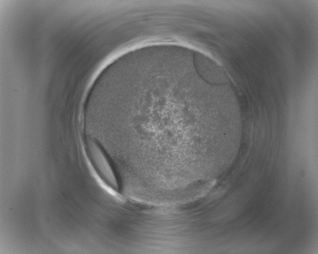 X0000081601519200701291348