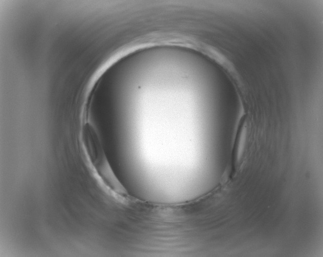 X0000081601520200701291348