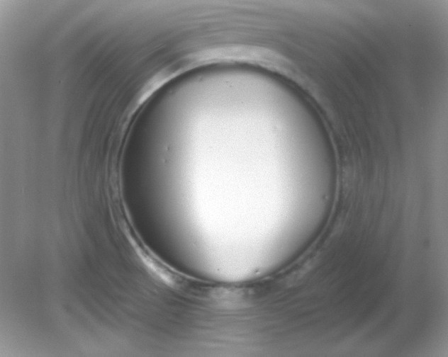 X0000081601521200701291348