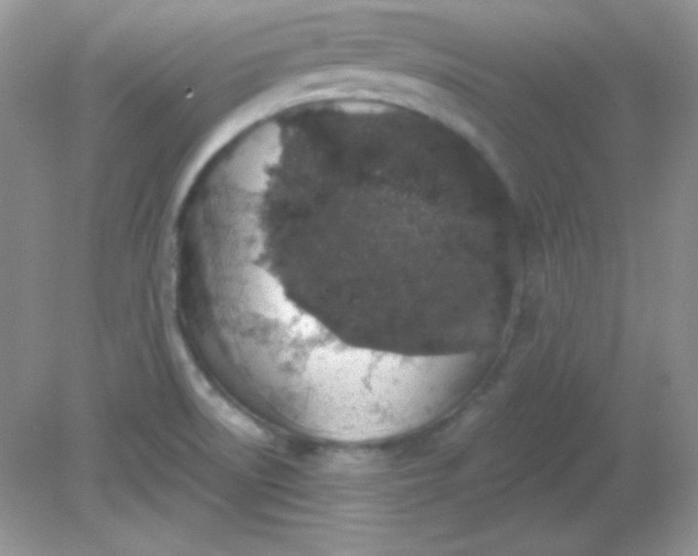 X0000081601522200701291348