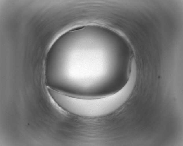 X0000081601524200701291348