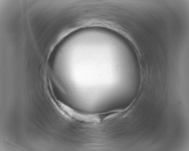 X0000081601525200701291348