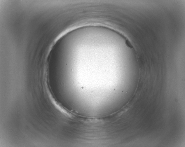 X0000081601526200701291348