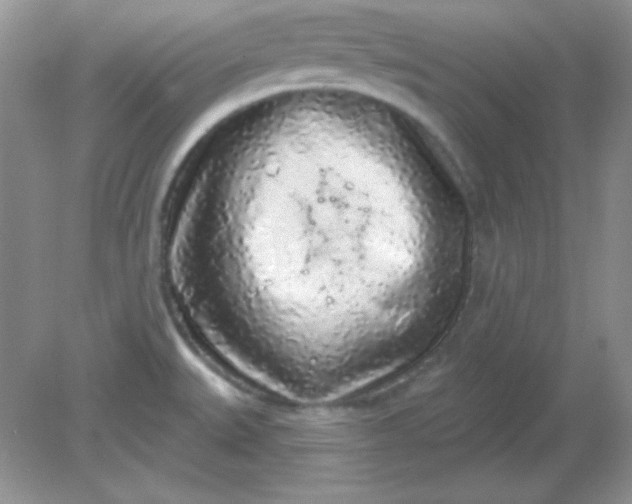 X0000081601527200701291348