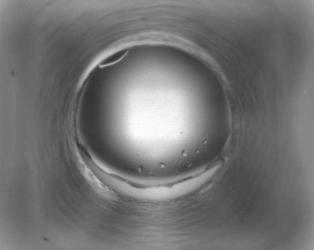 X0000081601530200701291348