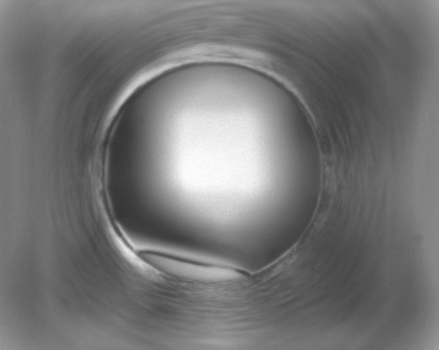 X0000081601531200701291348