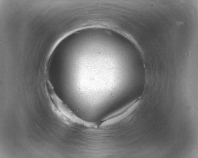 X0000081601532200701291348