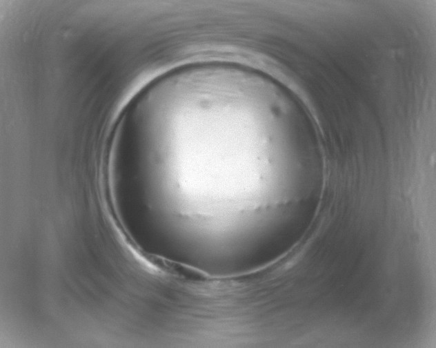 X0000081601533200701291348