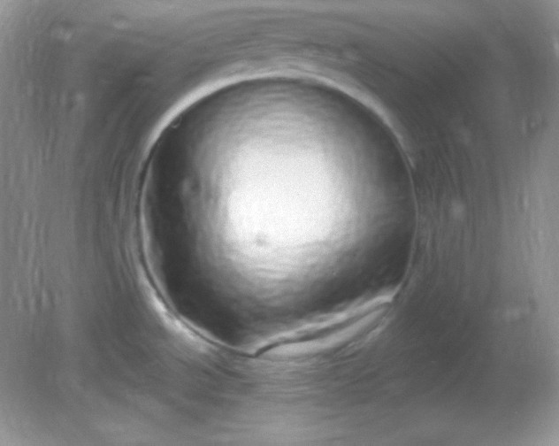 X0000081601534200701291348