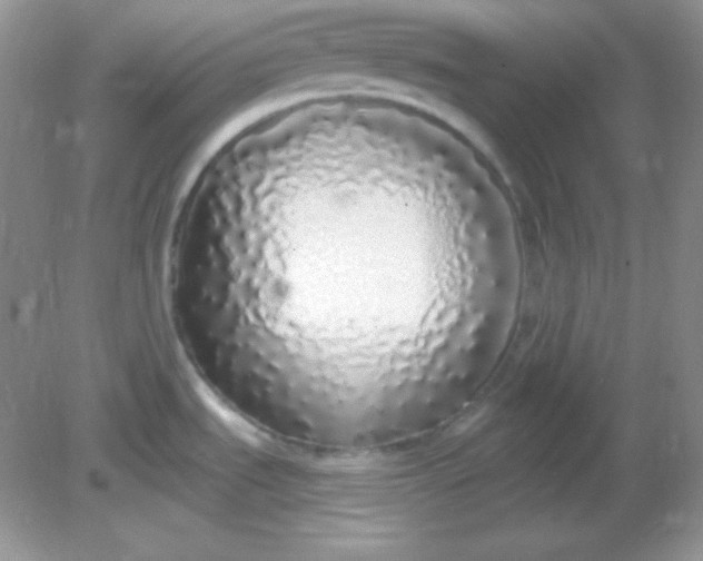 X0000081601535200701291348