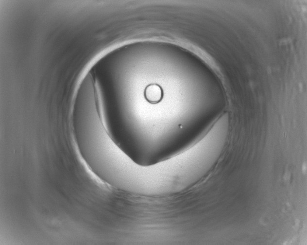 X0000081601536200701291348