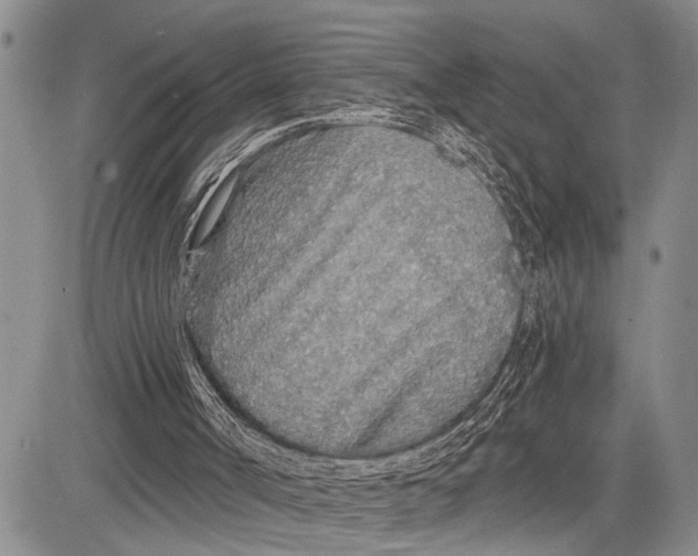 X0000081600002200702051341