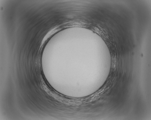 X0000081600004200702051341