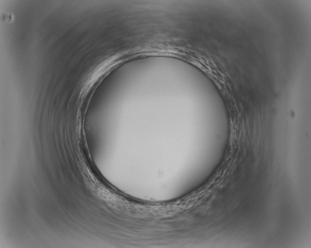 X0000081600005200702051341