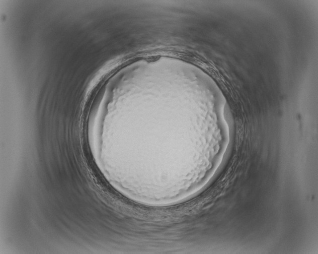 X0000081600006200702051341