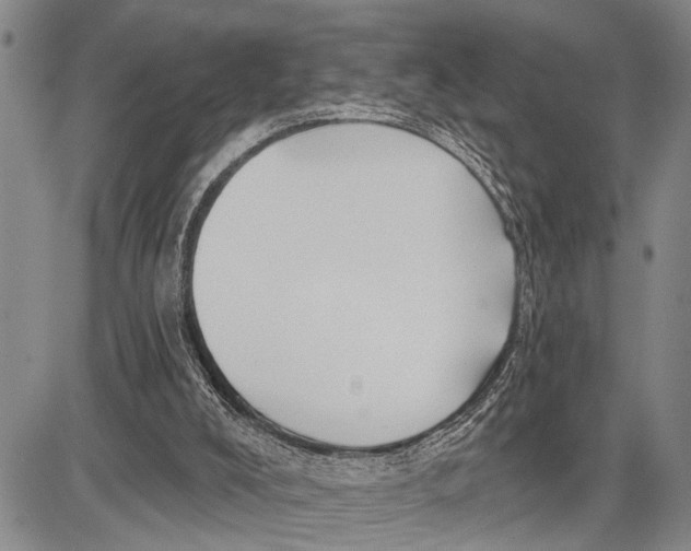 X0000081600008200702051341